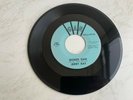 Rare Teen  '45 Jerry Ray  
