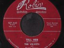 VELVETS: i cried / tell her RED ROBIN 7