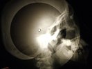 Johnny Cash - Luther Played The Boogie X-RAY OF USSR X-RAY BONE RECORD