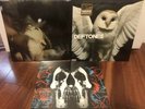 NEW Deftones Saturday Night Wrist Diamond Eyes S/T Vinyl LP Bundle RARE Sealed