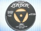 Link Wray & His Ray Men  