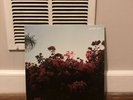 RARE LANY Make out EP black vinyl
