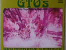 RARE & N' MINT GTO's  PERMANENT DAMAGE 1969 STRAIGHT STEREO LP ZAPPA PSYCH ROCK
