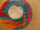 The Parliaments Promo 45 All Your Goodies Are Gone Revilot 211 Vg 1967