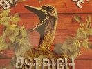 ORANGE JUICE Ostrich Churchyard LP VINYL UK Postcard 1992 with 10