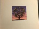 Talk Talk - Laughing Stock Vinyl NM Spanish/European First Press 1991