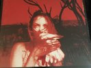 Widespread Panic-Everyday-2xLP-New And Sealed-Free Shipping