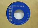 Muddy Waters-Mean Mistreater/Walking Thru The Park-Blues-7