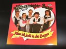 Orig. Reichraminger Buam Wenn ich jodle in den Bergen  RAR  MCP Records 126.745