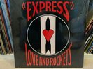Love and Rockets Bauhaus Daniel Ash - *SEALED Express Vinyl Record 1986 MINT