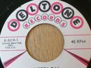 Surfer Rock And Roll Dick Dale and The Del-Tones Miserlou Pulp Fiction D-5019-1