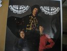 Jimi Hendrix Experience - Are You Experienced Mono Vinyl LP