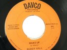 DAVCO Records Buddy Hall Wake Up Southern Gospel Rockabilly Jay Davis Rare 45