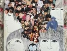 The Beatles Vinyl Revolting Sapcor Rare LP