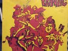 FRANTIC-CONCEPTION-PROMO  Original LIZARD US-RARE Heavy Psych LP
