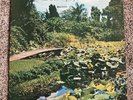 Marion Brock- The Next Step: Rare Private Press Lp