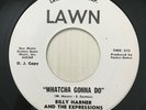 Billy Harner & The Expressions - LAWN Soul Funk Promo 45rpm Anymore Promo