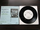 Bay City Rollers I Only Want to Be With You Japan Promo only 7 inch Single Vinyl