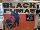 Black Pumas Exclusive Deluxe Edition Gold Red Splatter w/ Bonus 7