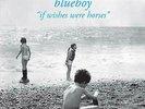 BLUEBOY-IF WISHES WERE HORSES VINYL LP NEW