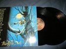 Iron Maiden Fear of the dark Doppel LP