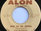 SKIP EASTERLING What Do You Suppose RARE NEW ORLEANS SWEET SOUL 45 NM hear
