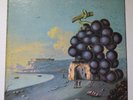 MOBY GRAPE 