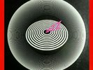 QUEEN (EX+) JAZZ LP ? Don't Stop Me Now ? Fat Bottomed Girls 1978 Elektra 6E-166