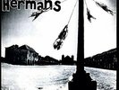 DOG FACED HERMANS-HUMANS FLY (UK IMPORT) VINYL LP NEW