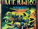HOME TOWN '85 Rare private Hawaii (Home Grown style) lp - AOR Modern Soul 