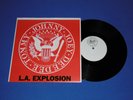 Ramones 10