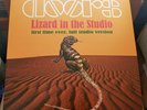 The Doors Lizard In The Studio mustard Green Vinyl, Jim Morrison, incld outtakes