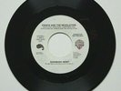 PRINCE AND THE REVOLUTION - RASPBERRY BERET - USA 7