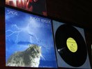 SMOG KNOCK KNOCK VINYL LP RECORD DRAG CITY ORIGINAL