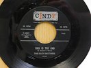 The Isley Brothers soul 45 This Is The End bw Dont Be Jealous on Cindy
