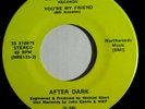 After Dark You're My Friend - Couldn't Stop The Love Sonic SS-210675 NOT Beatles