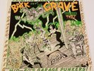 1st Ed BACK FROM THE GRAVE Vol. 3 Vinyl LP Primitive Teenage Rockin  *US Seller*