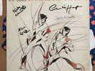 U.K SUBS Diminished Responsibility Vinyl Fully Signed