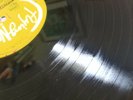 TALL DWARFS-WEEVILLE LP 1990 FLYING NUN/TOY LOVE/CHRIS KNOX/AMAZING COND/RARE