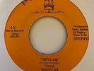 Disco Funk 45 MARY JO & SPACED OUT ORCH. Skylab HEAR Pilgrim Rare Ed Begley?