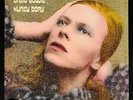 David Bowie - Hunky Dory LP 180 Gram Vinyl Album Remastered NEW RECORD Changes