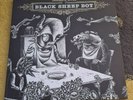 Okkervil River ?– Black Sheep Boy. 2lp 'definitive' 2009  Mint, Unplayed.Perfect