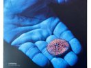 Coldplay The Blue Room EP e.p Rare Vinyl Record Number 600