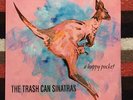 Trash Can Sina Traz a happy pocket analog board from Japan