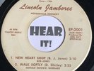 Hodgenville Kentucky Teen Rock Country Hillbilly EP 45 LINCOLN JAMBOREE rare MP