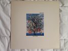 talk talk spirit of eden LP record vinyl USA release