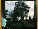 J. Cole 4 Your Eyez Only - UK LP - Super rare
