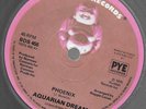 Aquarian Dream 