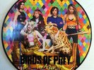 Birds Of Prey - The Album - 12