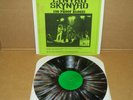 LYNYRD SKYNYRD - RARE COLORED VINYL SPLASH MCV LP MINT NOT TMOQ TAKRL